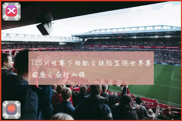 TES训练赛下路配合缺陷显现世界赛前磨合亟待加强